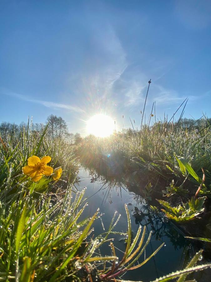 Affittacamere Inglotowka Wolow  Esterno foto